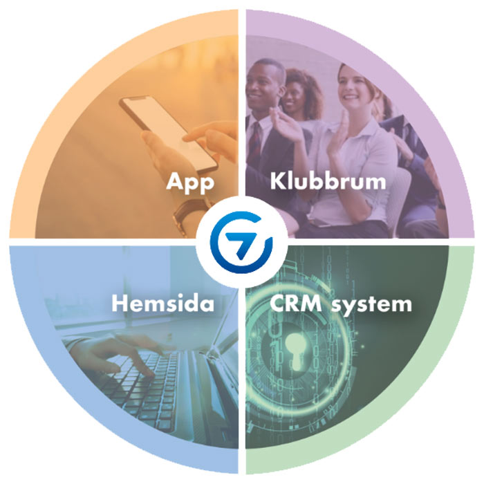Cirkeldiagram med de olika rubrikerna